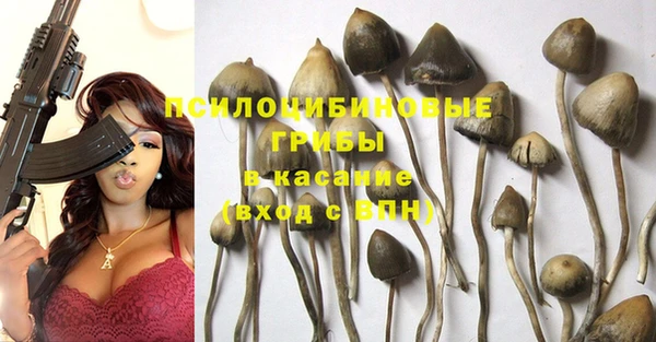 ешки Верея