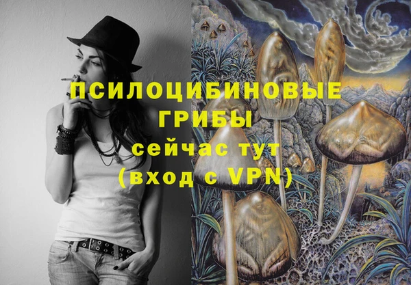 прущая мука Бронницы