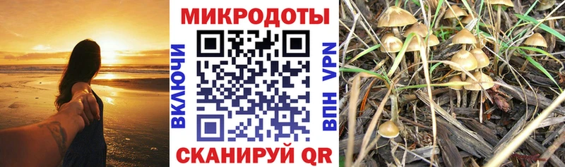 Галлюциногенные грибы мухоморы  дарнет шоп  Калач-на-Дону 